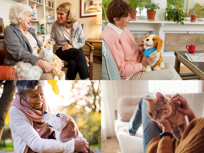 Getting a Pet for Someone Living with Dementia