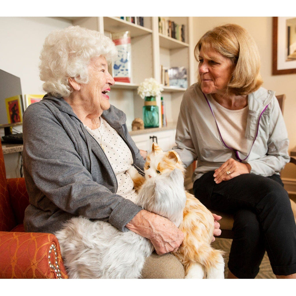 Joy for All Pets: Providing Comfort, Connection and Companionship
