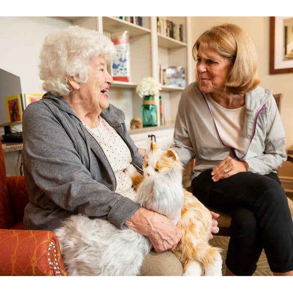 Joy for All Pets: Providing Comfort, Connection and Companionship
