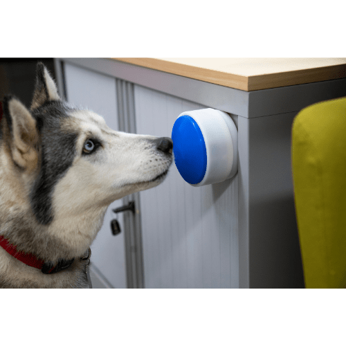 Story & Sons electronics The Dogosophy Button