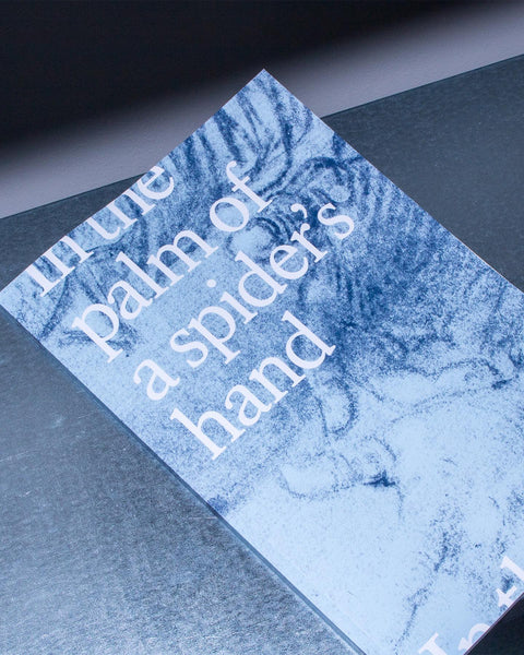 Story & Sons In the palm of a spider’s hand